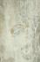 Бархат на шторы мебель Antique Ivory и Grey, Rubelli, Италия со скидкой 65%